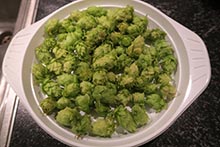 Hopfen