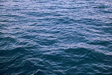 Wasser